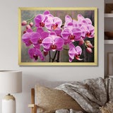 Pink Orchids Oasis I - Floral Canvas Wall Art