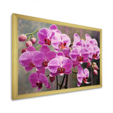 Pink Orchids Oasis I - Floral Canvas Wall Art