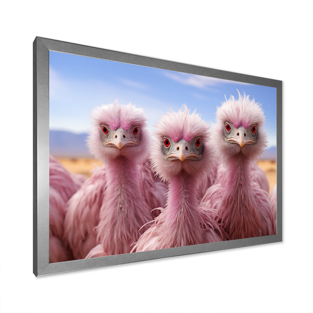 Pink Ostriches Mirage Portrait - Ostriches Wall Art Prints