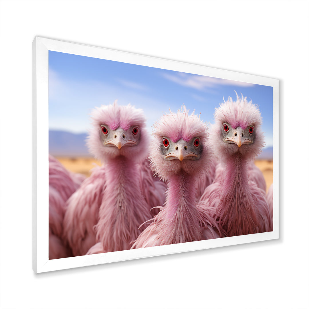 Pink Ostriches Mirage Portrait - Ostriches Wall Art Prints