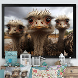 Monochrome Grey Ostriches Portrait - Beige Ostriches Wall Art