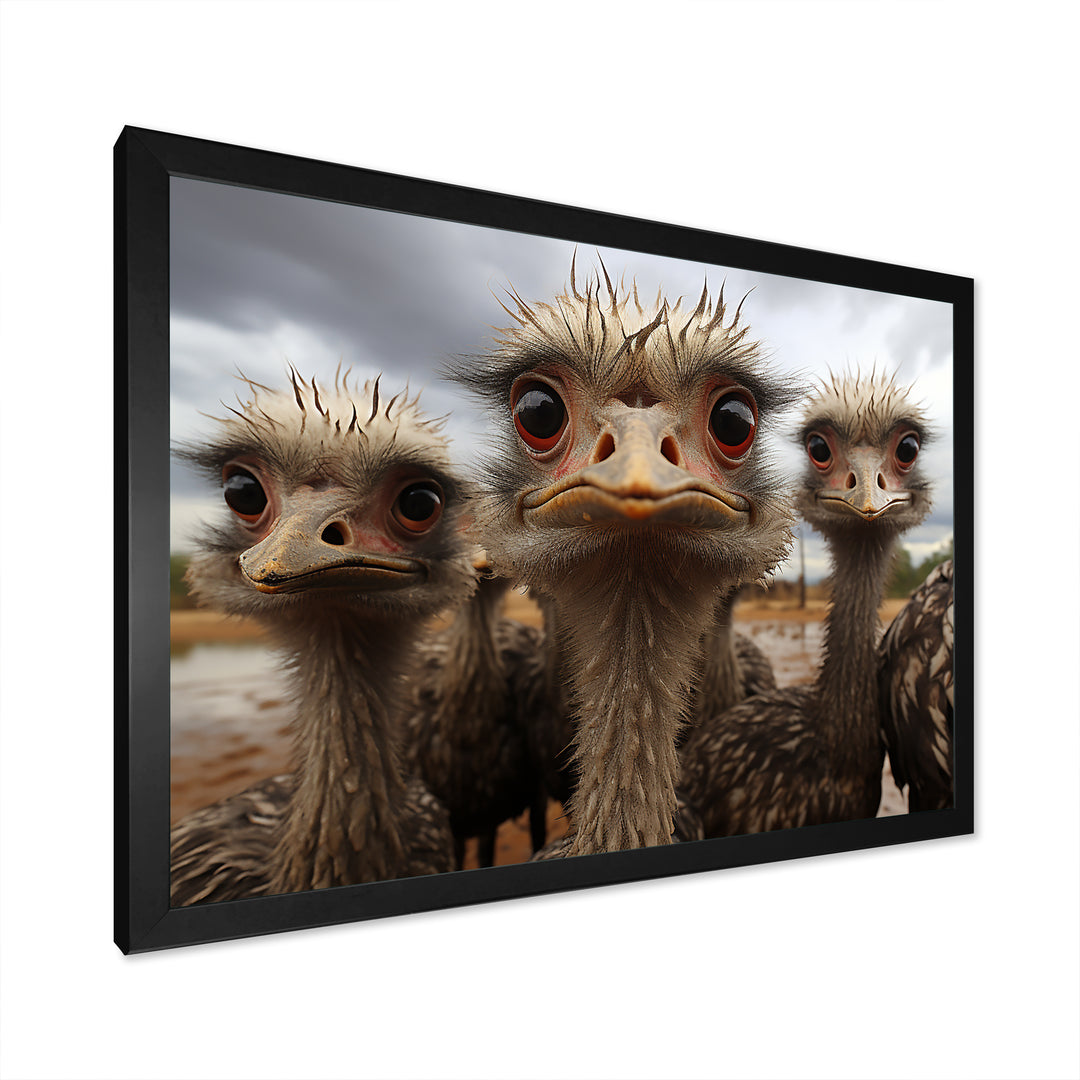 Monochrome Grey Ostriches Portrait - Beige Ostriches Wall Art