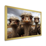 Monochrome Grey Ostriches Portrait - Beige Ostriches Wall Art
