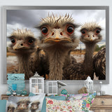 Monochrome Grey Ostriches Portrait - Beige Ostriches Wall Art