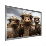 Monochrome Grey Ostriches Portrait - Beige Ostriches Wall Art