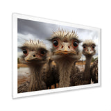 Monochrome Grey Ostriches Portrait - Beige Ostriches Wall Art
