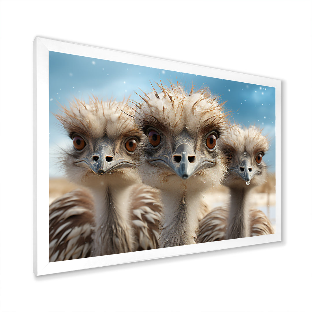 Monochrome Ostrich Mirage - Beige Ostriches Wall Art