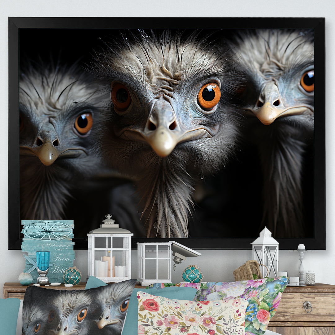 Mysterious Ostrich Chiaroscuro - Ostriches Home Decor Art