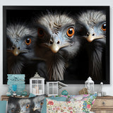 Mysterious Ostrich Chiaroscuro - Ostriches Home Decor Art