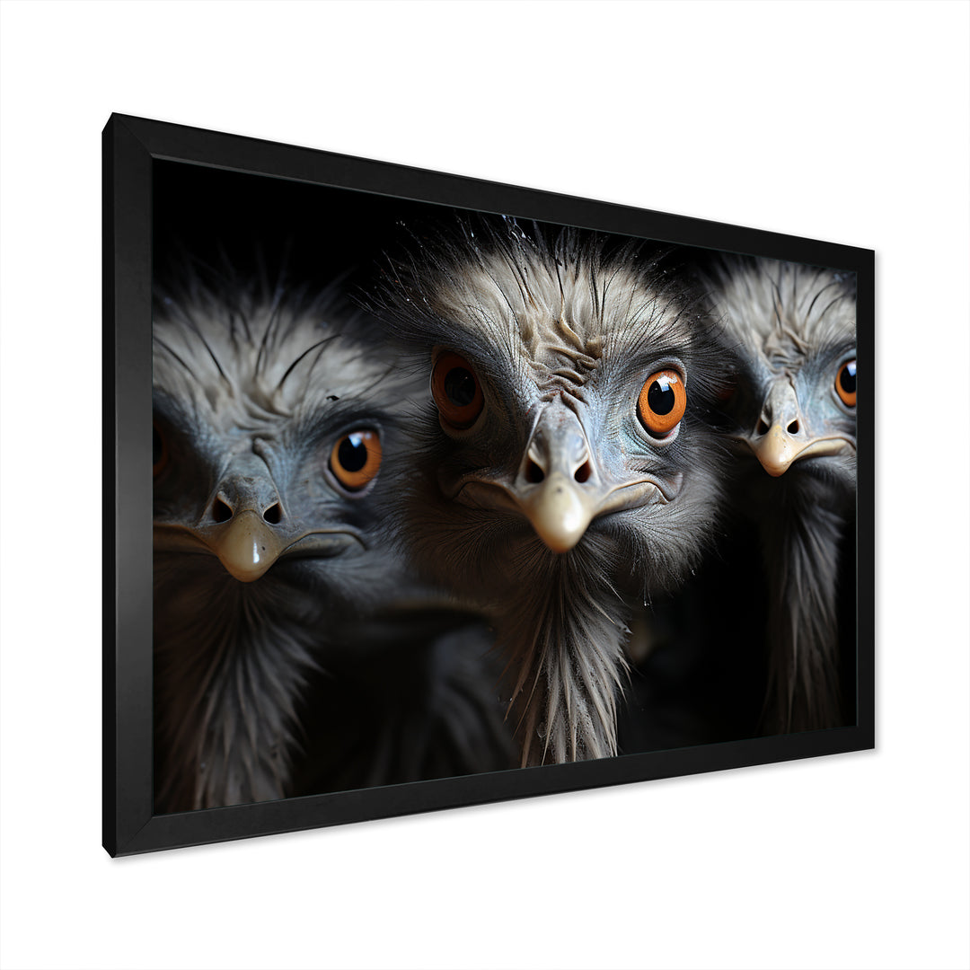 Mysterious Ostrich Chiaroscuro - Ostriches Home Decor Art
