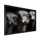 Mysterious Ostrich Chiaroscuro - Ostriches Home Decor Art