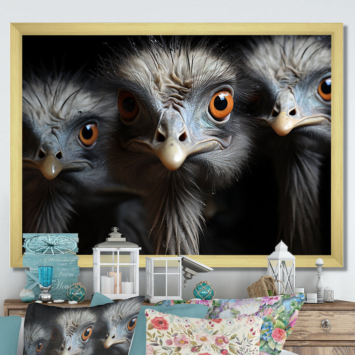 Mysterious Ostrich Chiaroscuro - Ostriches Home Decor Art
