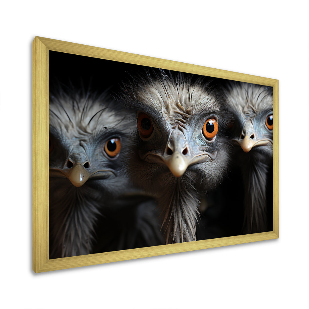Mysterious Ostrich Chiaroscuro - Ostriches Home Decor Art