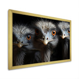 Mysterious Ostrich Chiaroscuro - Ostriches Home Decor Art