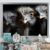 Mysterious Ostrich Chiaroscuro - Ostriches Home Decor Art