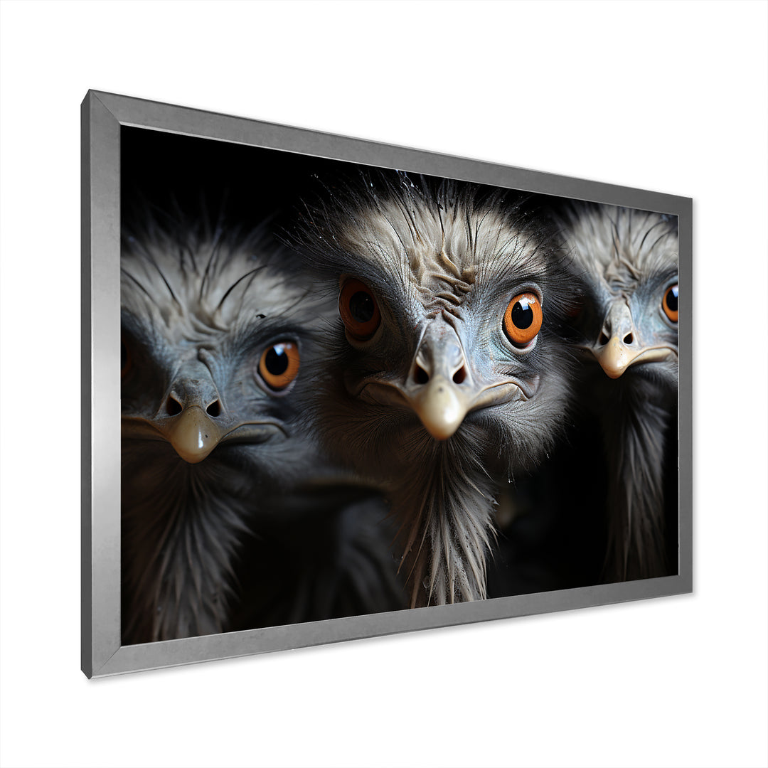 Mysterious Ostrich Chiaroscuro - Ostriches Home Decor Art