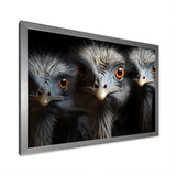 Mysterious Ostrich Chiaroscuro - Ostriches Home Decor Art