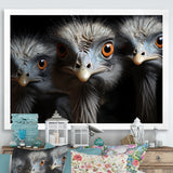 Mysterious Ostrich Chiaroscuro - Ostriches Home Decor Art