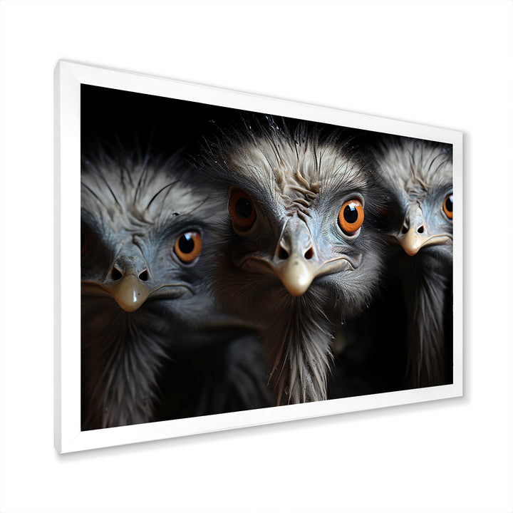 Mysterious Ostrich Chiaroscuro - Ostriches Home Decor Art
