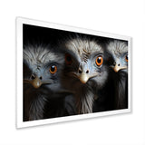 Mysterious Ostrich Chiaroscuro - Ostriches Home Decor Art