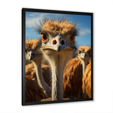 Ostrich Elysium Portrait - Ostriches Bedroom Wall Art
