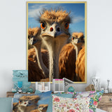Ostrich Elysium Portrait - Ostriches Bedroom Wall Art