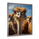 Ostrich Elysium Portrait - Ostriches Bedroom Wall Art