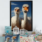 Ostrich Harmony Portrait - Ostriches Canvas Wall Art