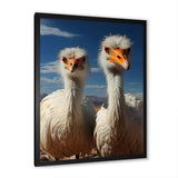 Ostrich Harmony Portrait - Ostriches Canvas Wall Art