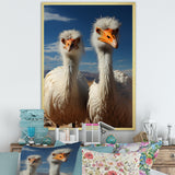 Ostrich Harmony Portrait - Ostriches Canvas Wall Art