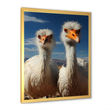 Ostrich Harmony Portrait - Ostriches Canvas Wall Art