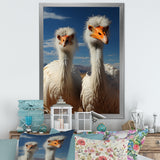 Ostrich Harmony Portrait - Ostriches Canvas Wall Art