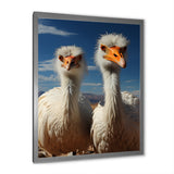 Ostrich Harmony Portrait - Ostriches Canvas Wall Art