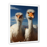 Ostrich Harmony Portrait - Ostriches Canvas Wall Art