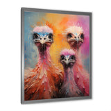 Ostrich Whimsy Portraits - Multi-Color Ostriches Wall Art