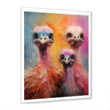 Ostrich Whimsy Portraits - Multi-Color Ostriches Wall Art