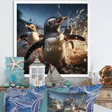 Playful Water Penguin Waltz - Penguin Bedroom Wall Art