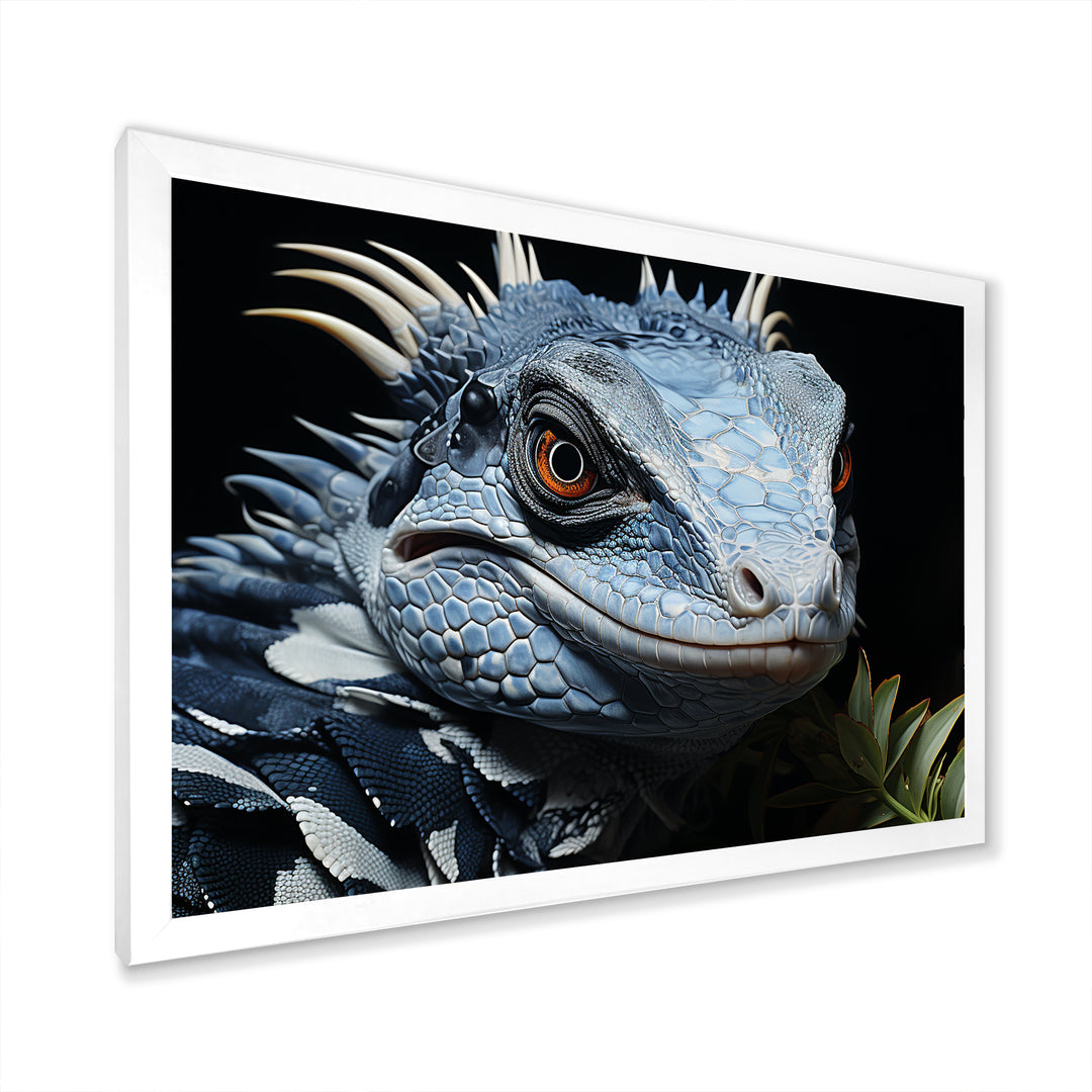 Curious Reptile Amphibian - Reptile Wall Art Prints