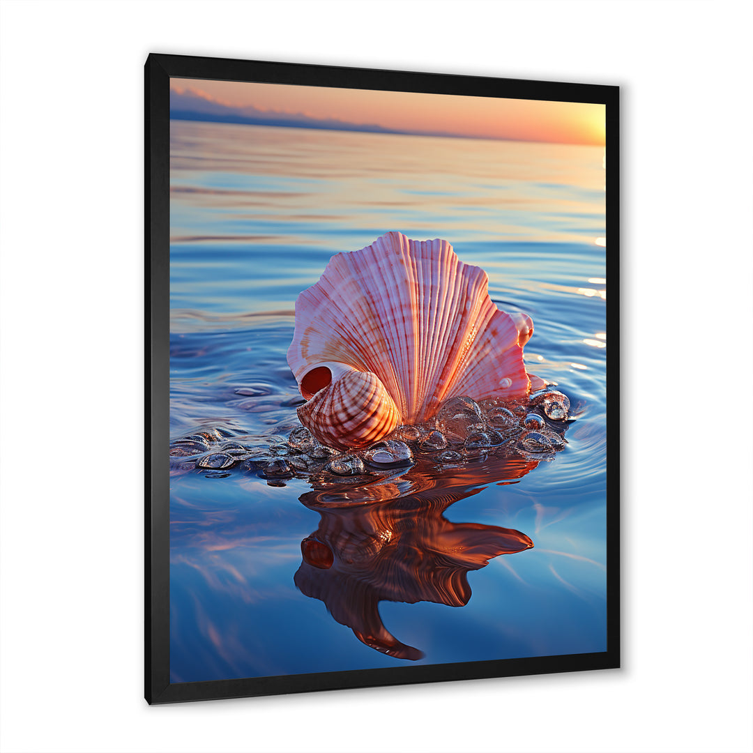 Seashell Oceanic Elegance At Sunset - Seashell Wall Art Prints