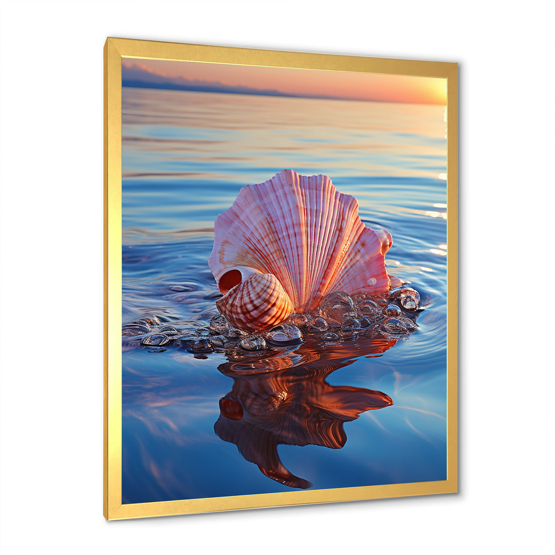 Seashell Oceanic Elegance At Sunset - Seashell Wall Art Prints