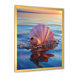 Seashell Oceanic Elegance At Sunset - Seashell Wall Art Prints