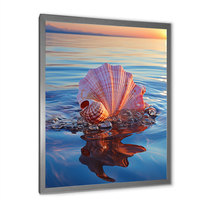 Seashell Oceanic Elegance At Sunset - Seashell Wall Art Prints