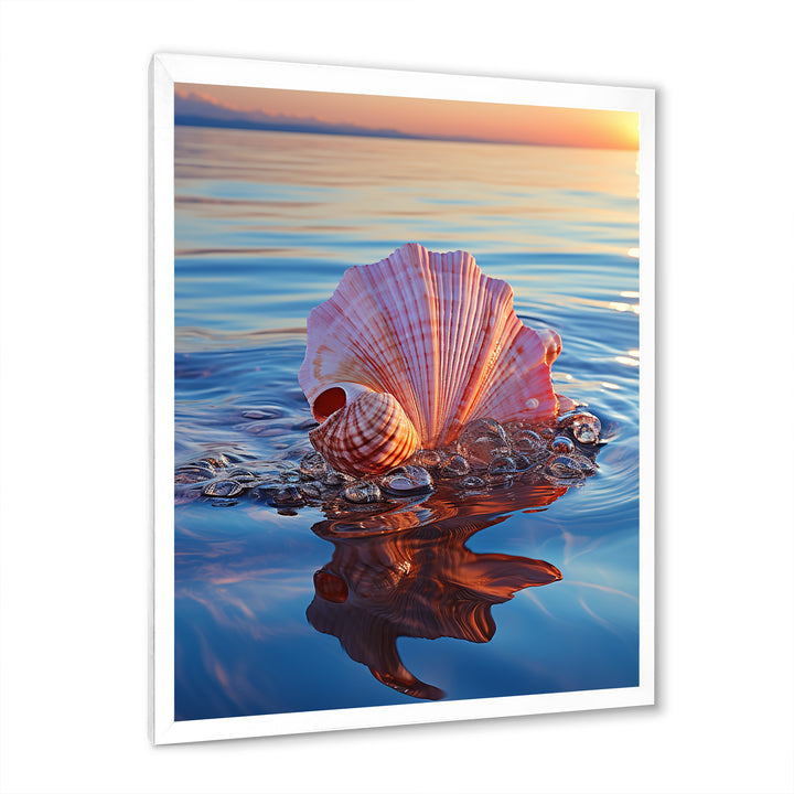 Seashell Oceanic Elegance At Sunset - Seashell Wall Art Prints