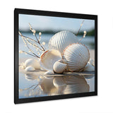 Minimal White Seashell Photography - Animals Canvas Wall Art