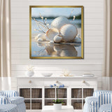 Minimal White Seashell Photography - Animals Canvas Wall Art