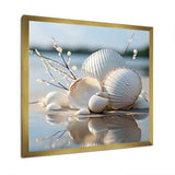 Minimal White Seashell Photography - Animals Canvas Wall Art