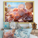 Romanticism Seashells - Seashell Canvas Wall Art