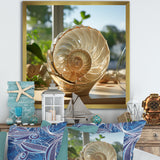Seashell Treasures Vase - Seashell Wall Art Prints