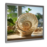 Seashell Treasures Vase - Seashell Wall Art Prints