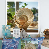 Seashell Treasures Vase - Seashell Wall Art Prints